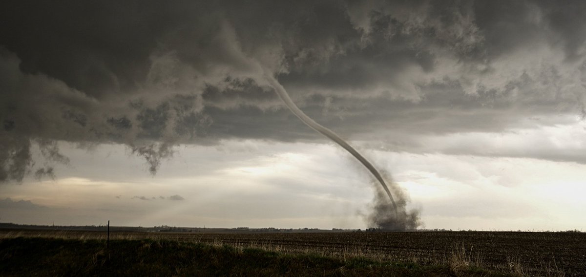 TornadoTRX tweet media