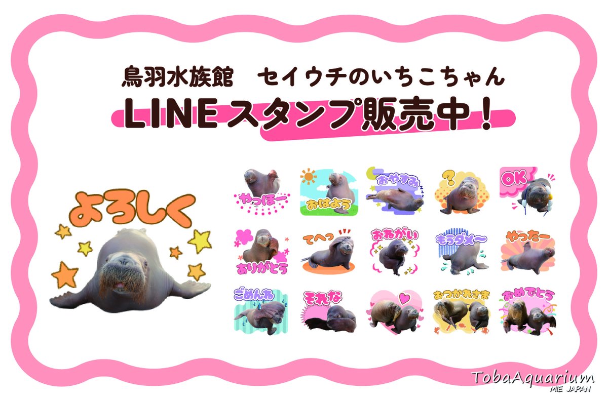 鳥羽水族館（TOBA AQUARIUM） tweet media