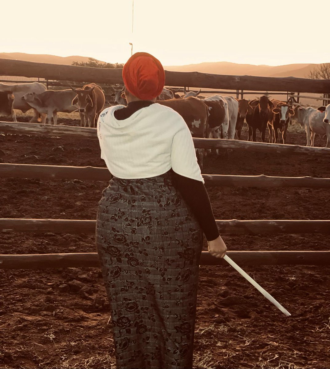 esokhozi🦅m.g tweet media