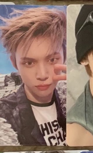 フィンチ tweet media