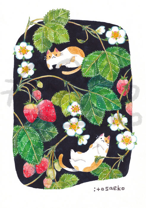 伊藤彩恵子 tweet media