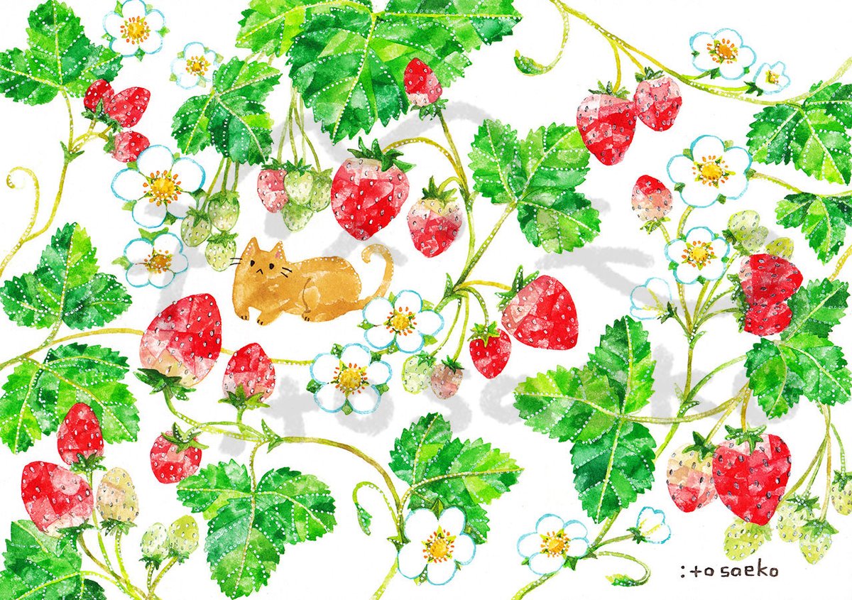 伊藤彩恵子 tweet media