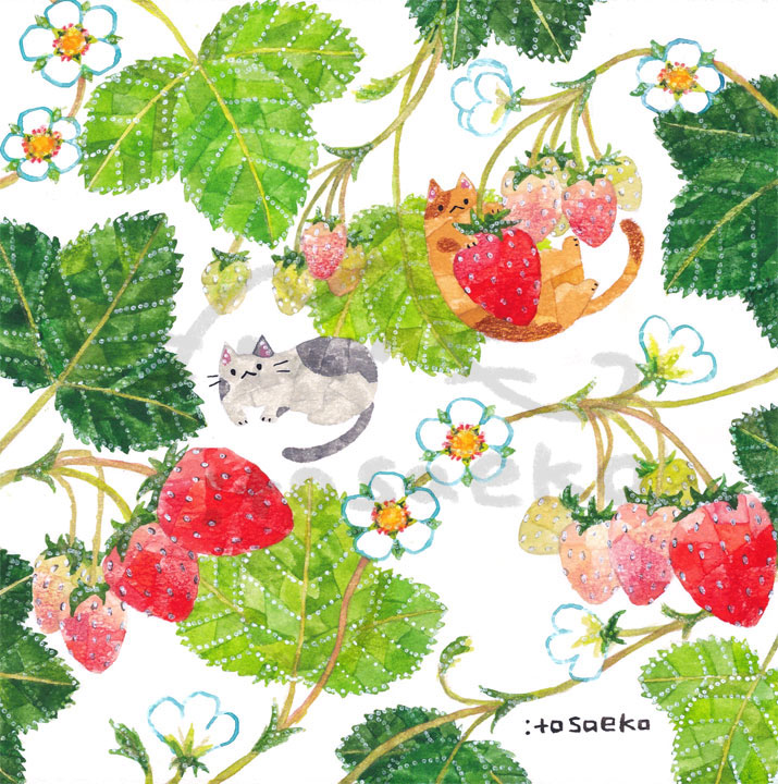 伊藤彩恵子 tweet media