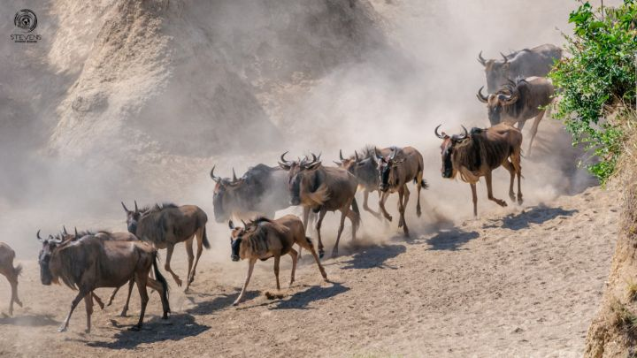 ChuckChunder007's tweet photo. The great USA #shitco stampede of 2026 gathers pace https://t.co/9ooODal1vA