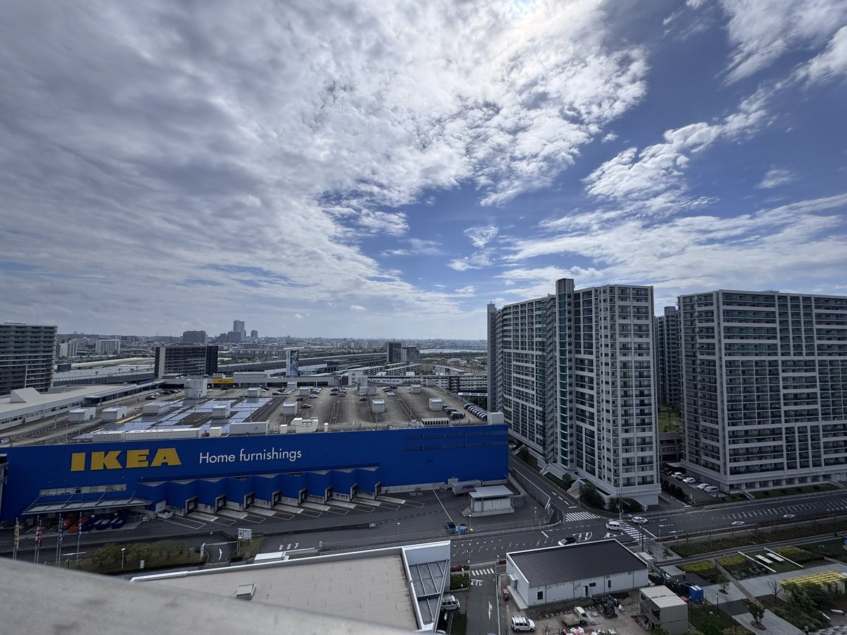 帝虎 金龍🐾 tweet media