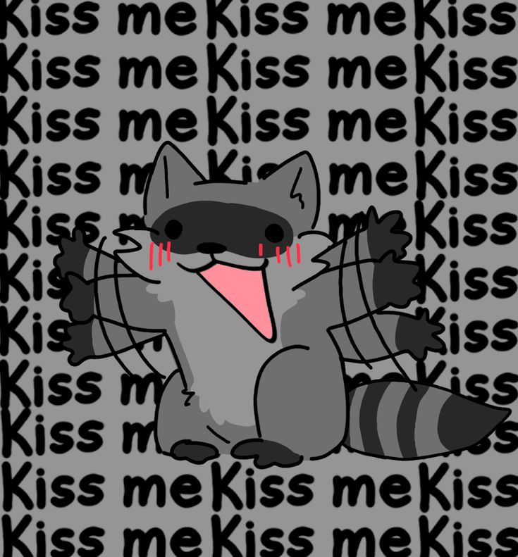 silly raccoons & pandas tweet media