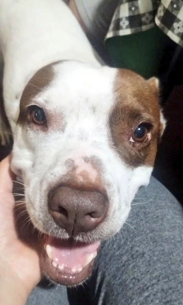 Medusín tweet media