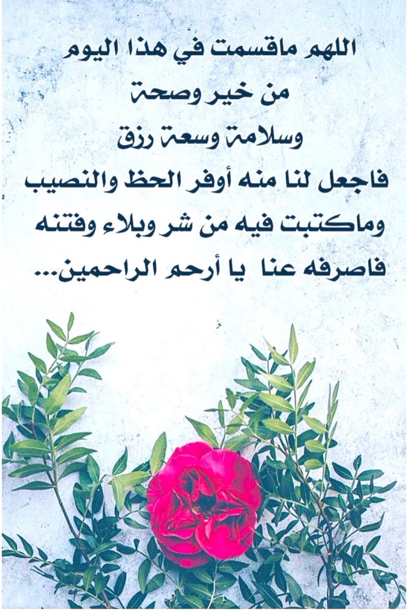 خالد آل علي⭐️ الإمارات العربية المتحدة دار زايد tweet media