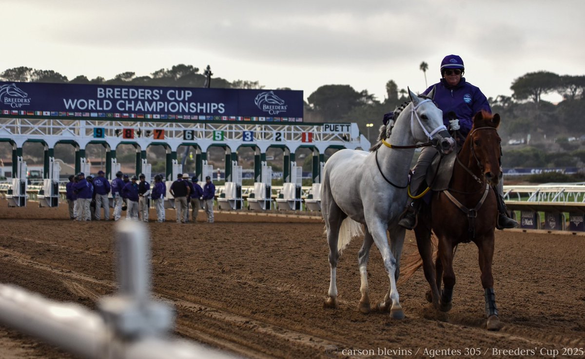 Carson Blevins tweet media