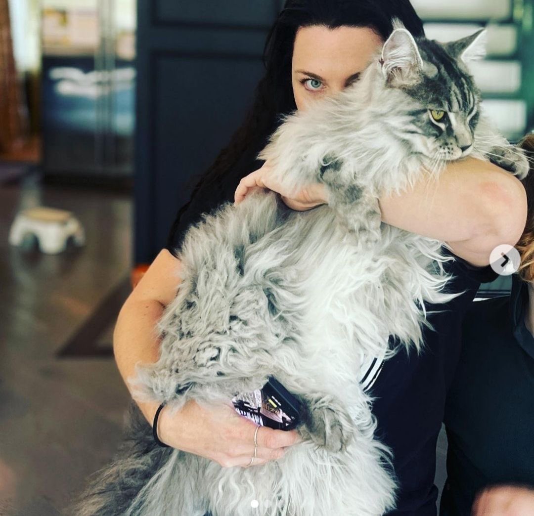 amyleethings's tweet photo. cat lady https://t.co/OHIFbCrehS