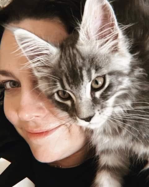 amyleethings's tweet photo. cat lady https://t.co/OHIFbCrehS