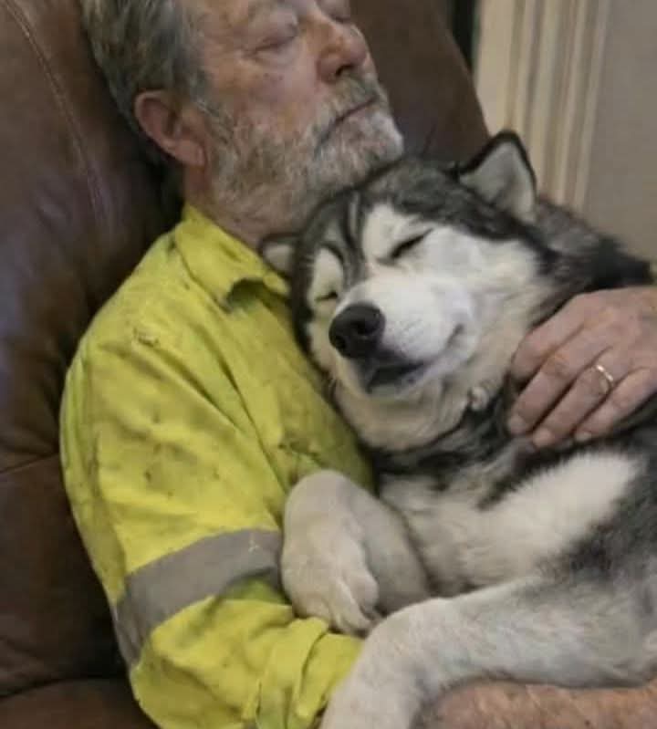 Leidy Castillo tweet media