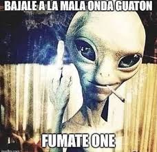 quoverid tweet media