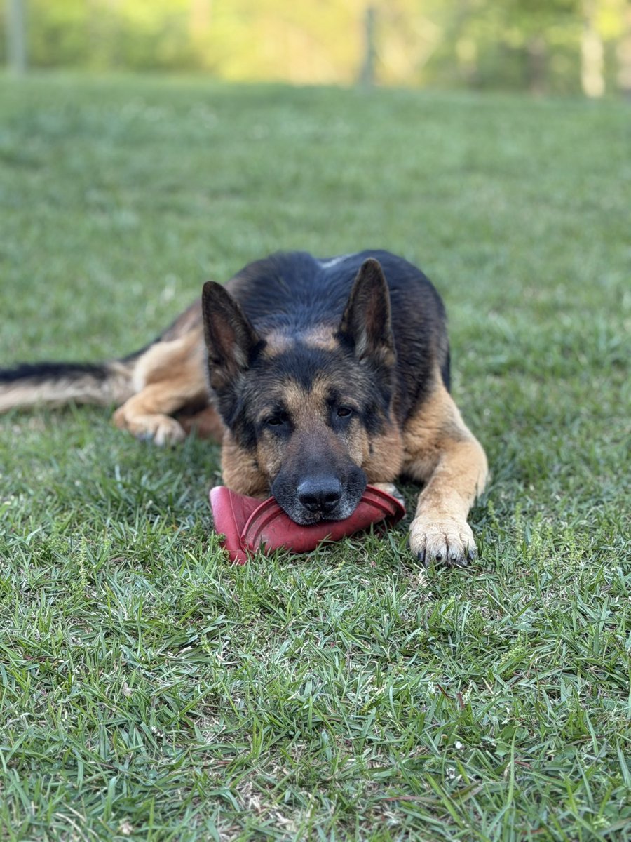 WeenyWaney tweet media