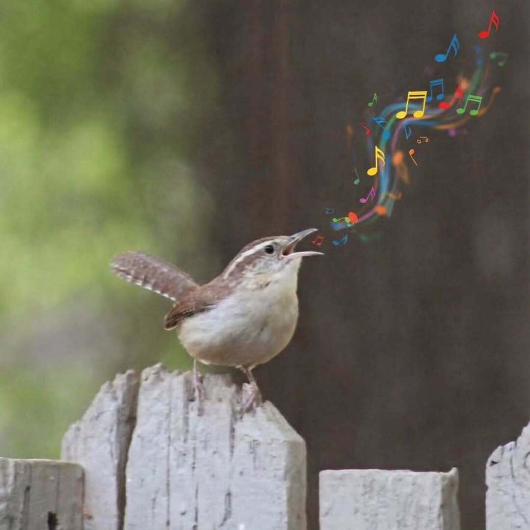 Jason Trommetter tweet media