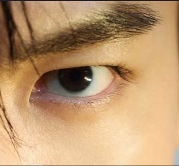 Liz is in AN△THER ▷IMENSI△N tweet media