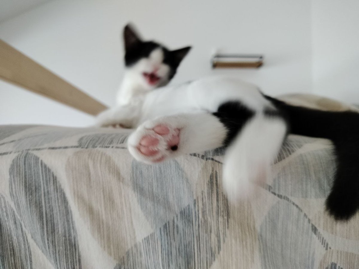 Хэй, Оушен☮️🦄 tweet media