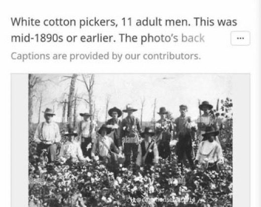 Sol Thom tweet media