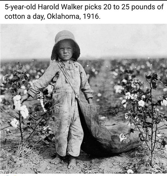 Sol Thom tweet media