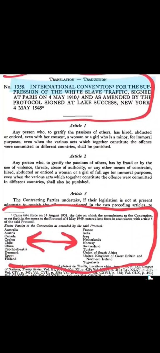 Sol Thom tweet media