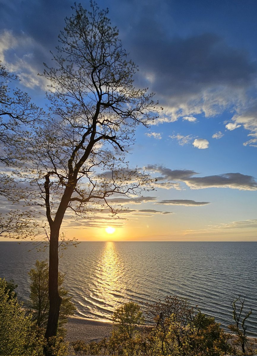 CJ Howard tweet media