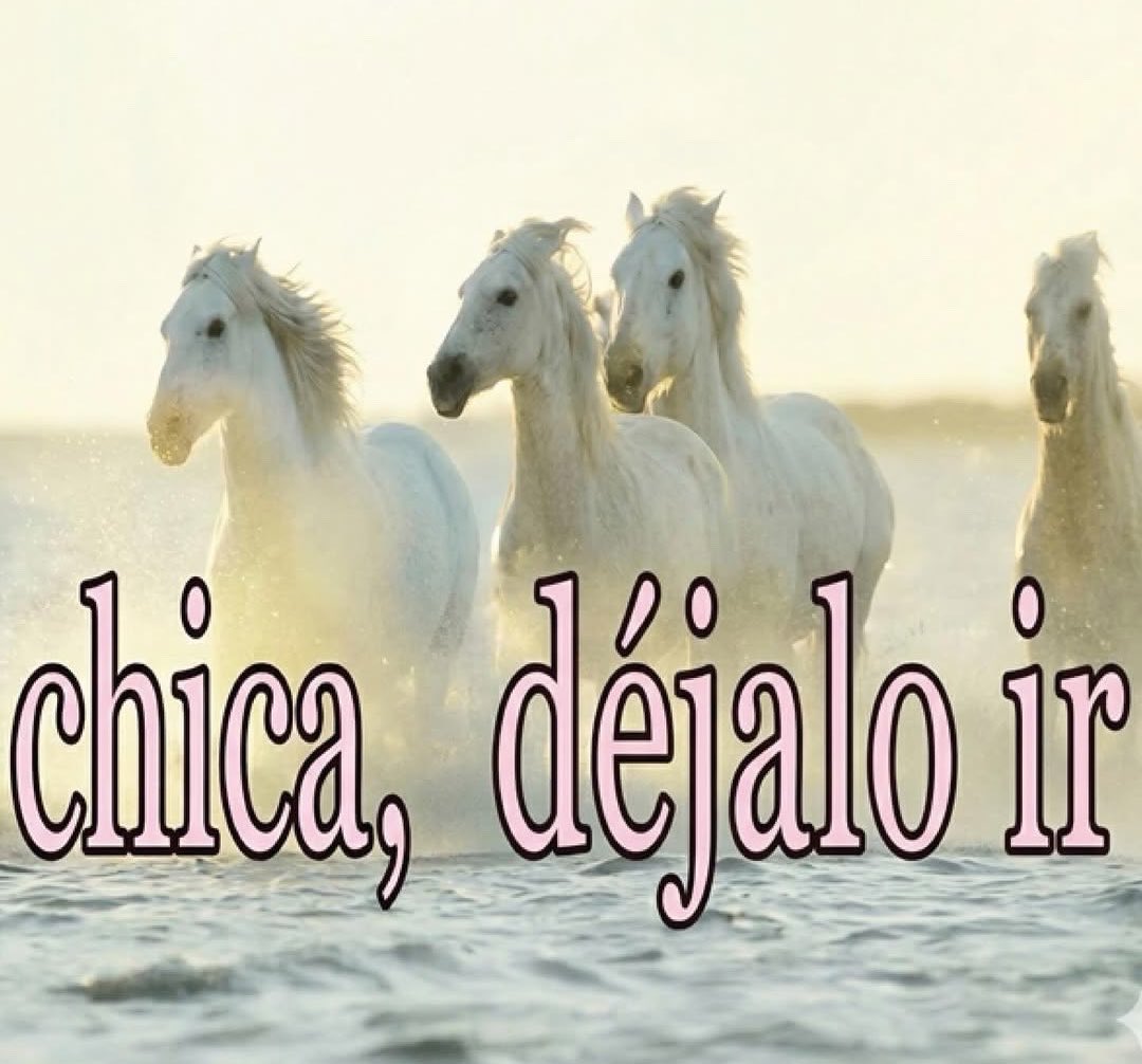 andrés. tweet media