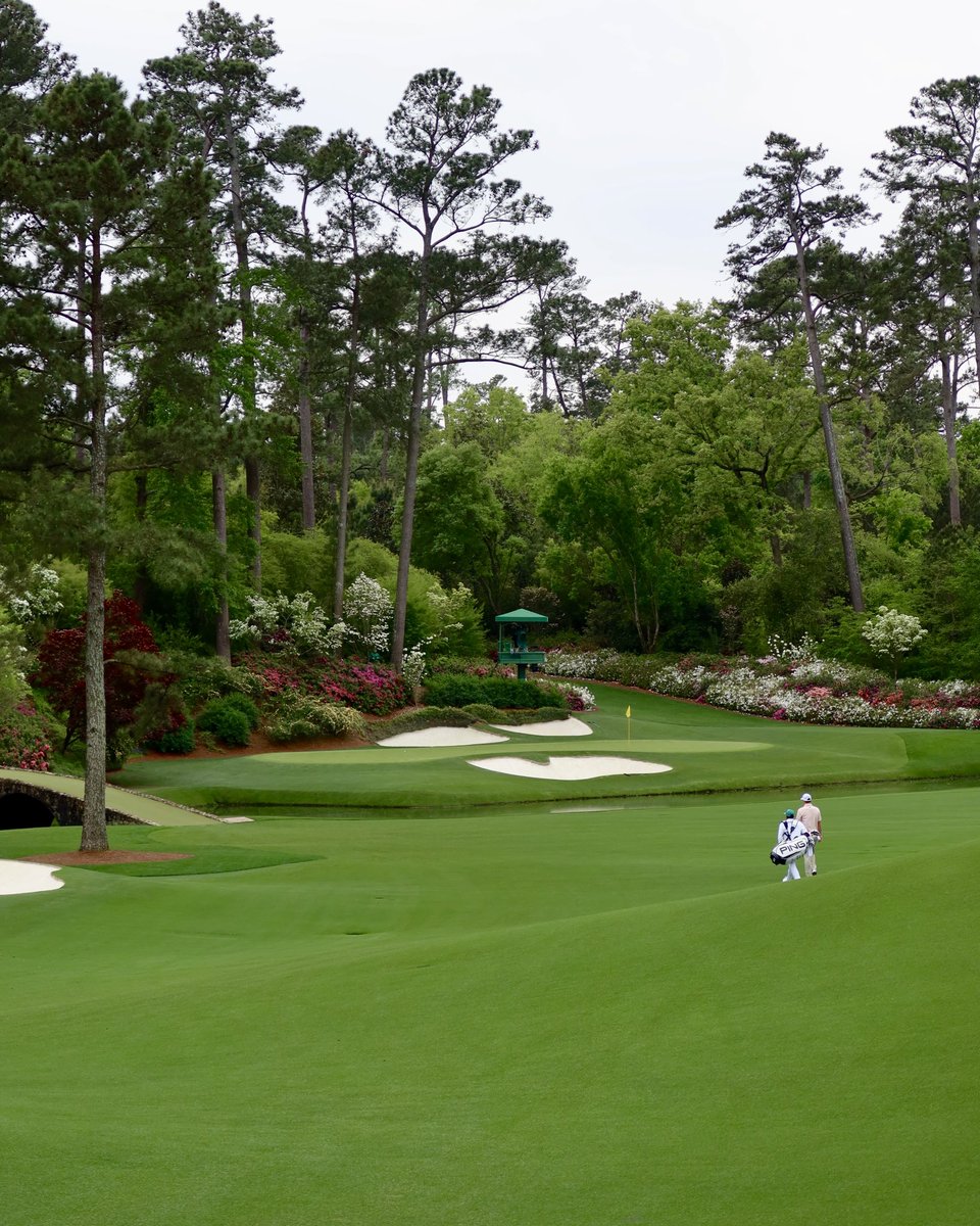 claire rogers tweet media