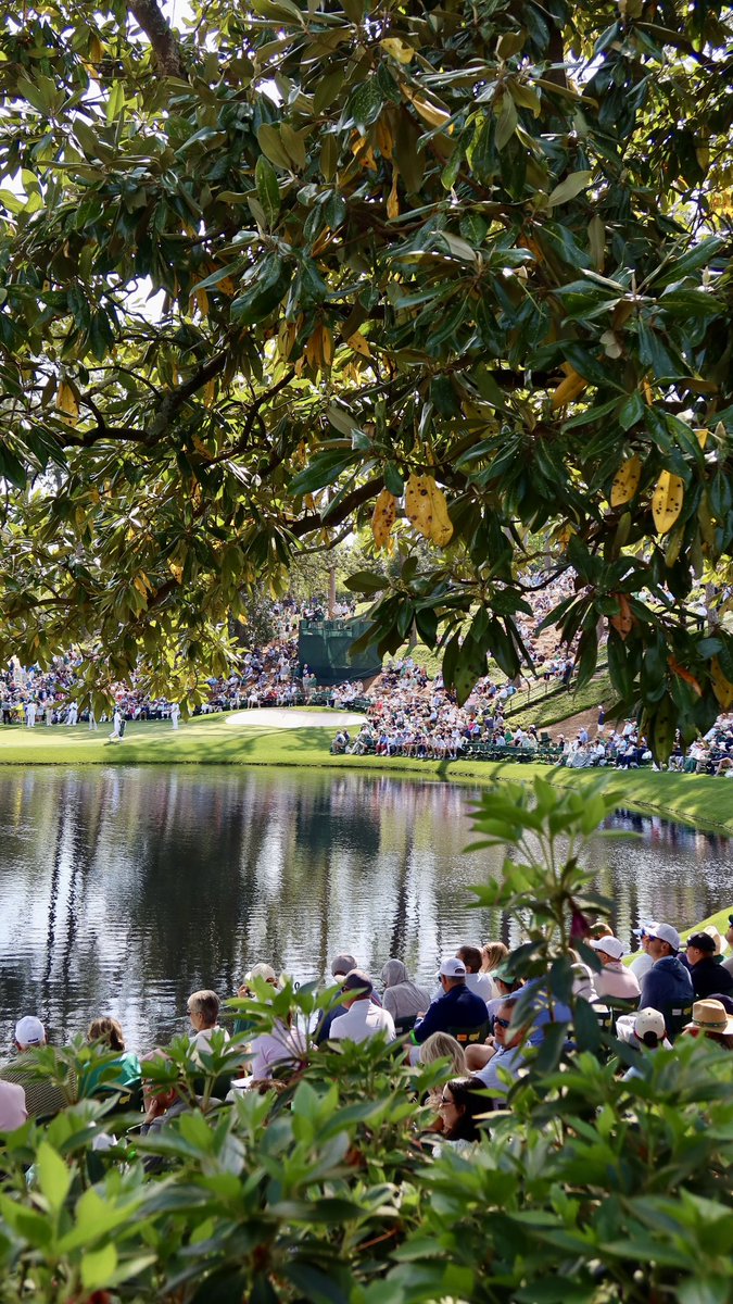 claire rogers tweet media