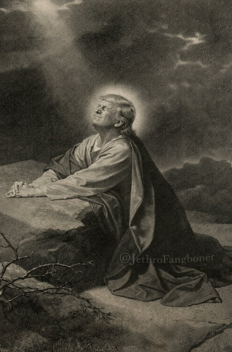 JethroFangboner's tweet image. @POTUS @realDonaldTrump looking directly at the solar eclipse without protective eyewear in late 2017.
Be sure to pick up your commemorative Donald J. Trump Gold Edition Holy Bible to read all about how Trump defeated the Sun.
#MAGA #SolarEclipse #Trump #TrumpChrist #TrumpBible