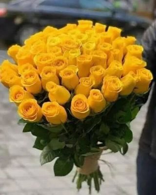 الطير tweet media