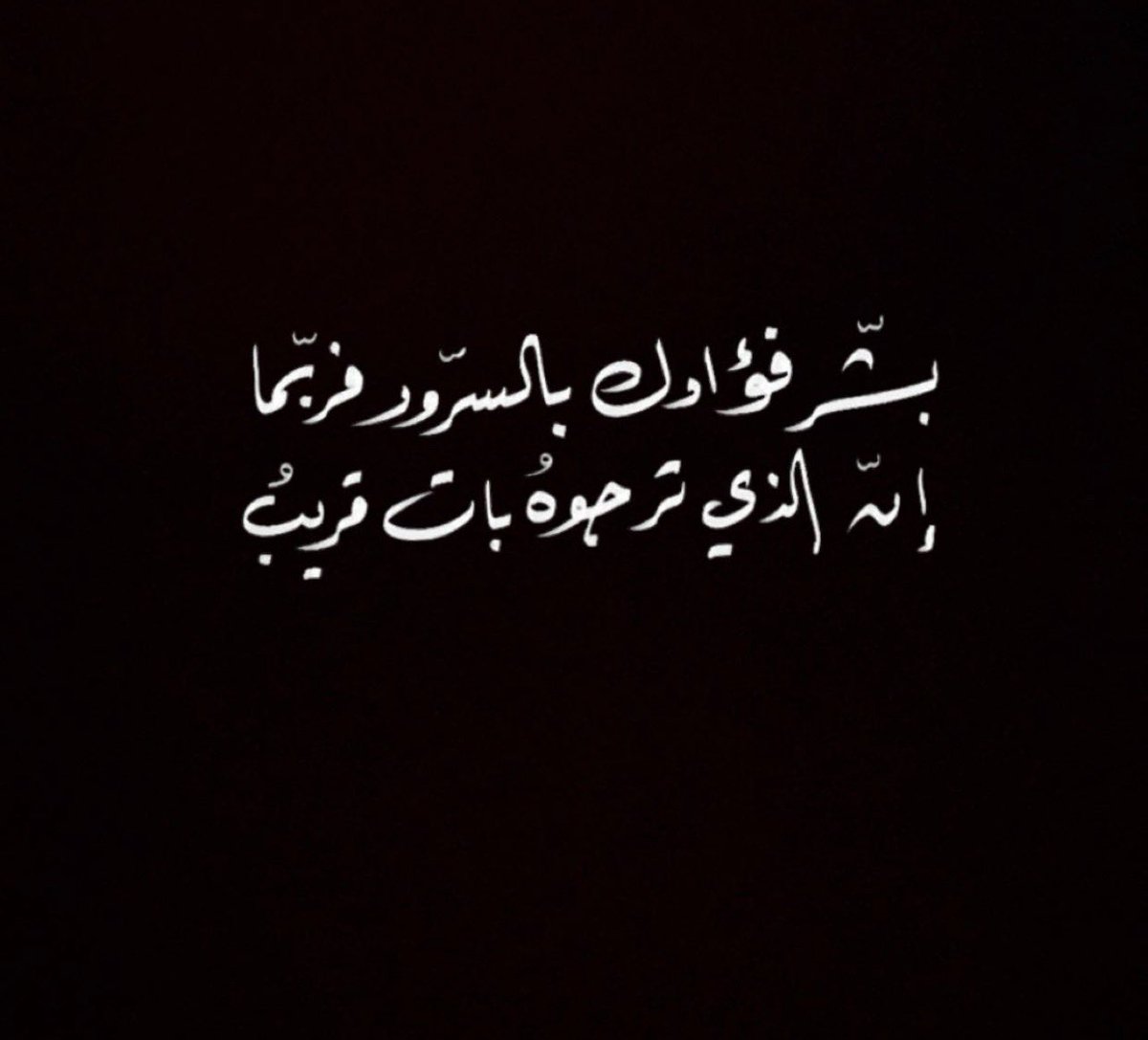 Tulip🦋 tweet media