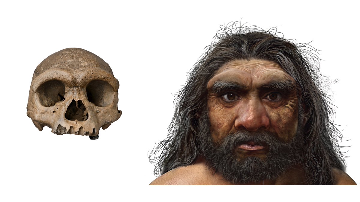 Origins Unveiled tweet media