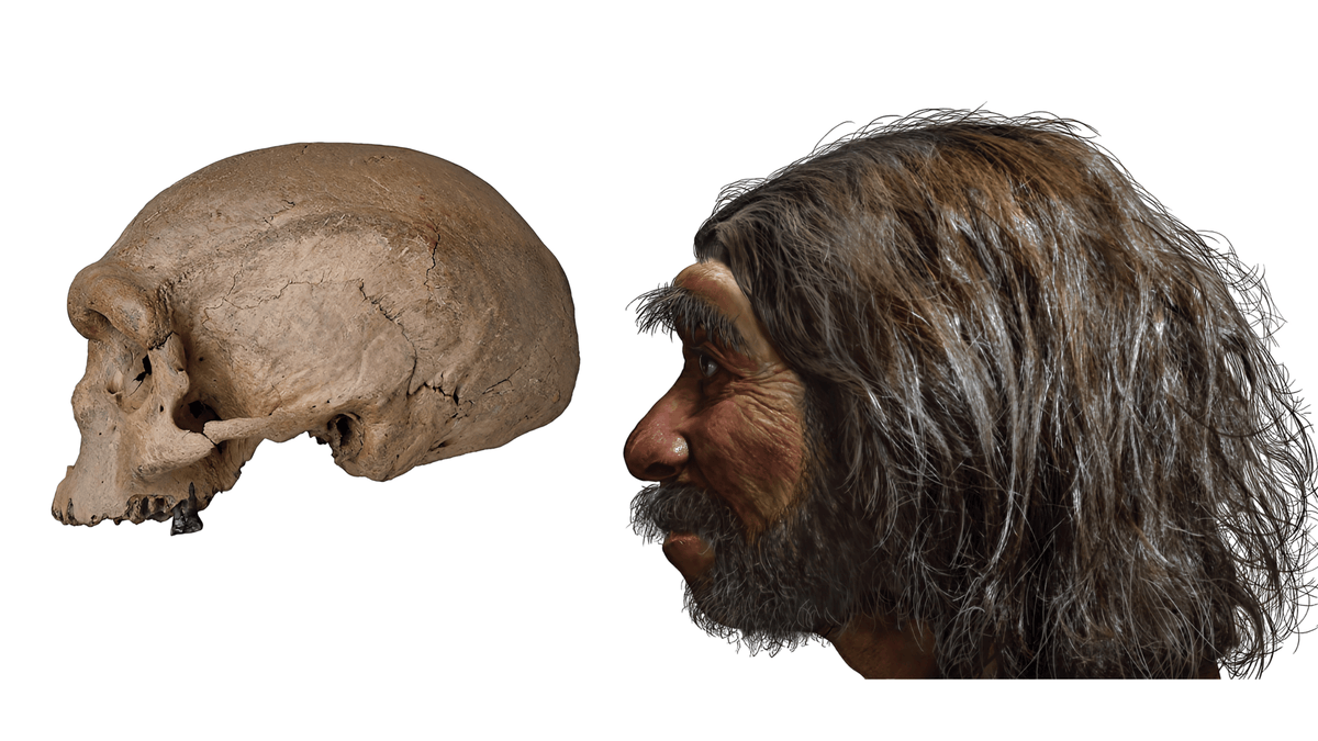 Origins Unveiled tweet media