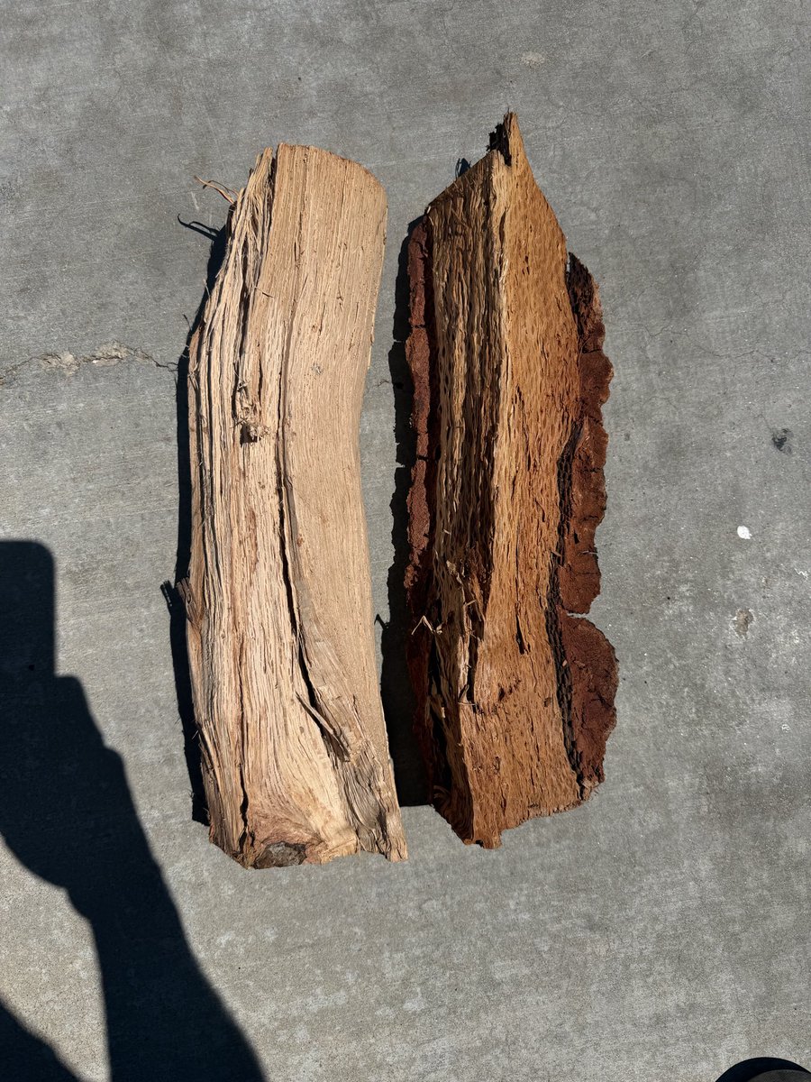 Scott Rodriguez tweet media