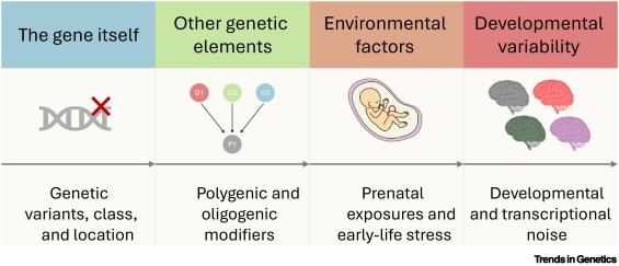 Trends in Genetics tweet media