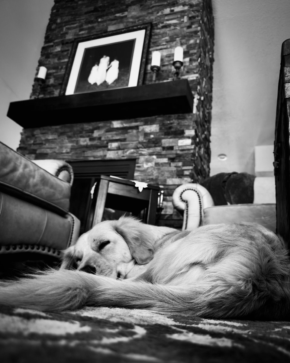 Vince Schmidt Photography tweet media