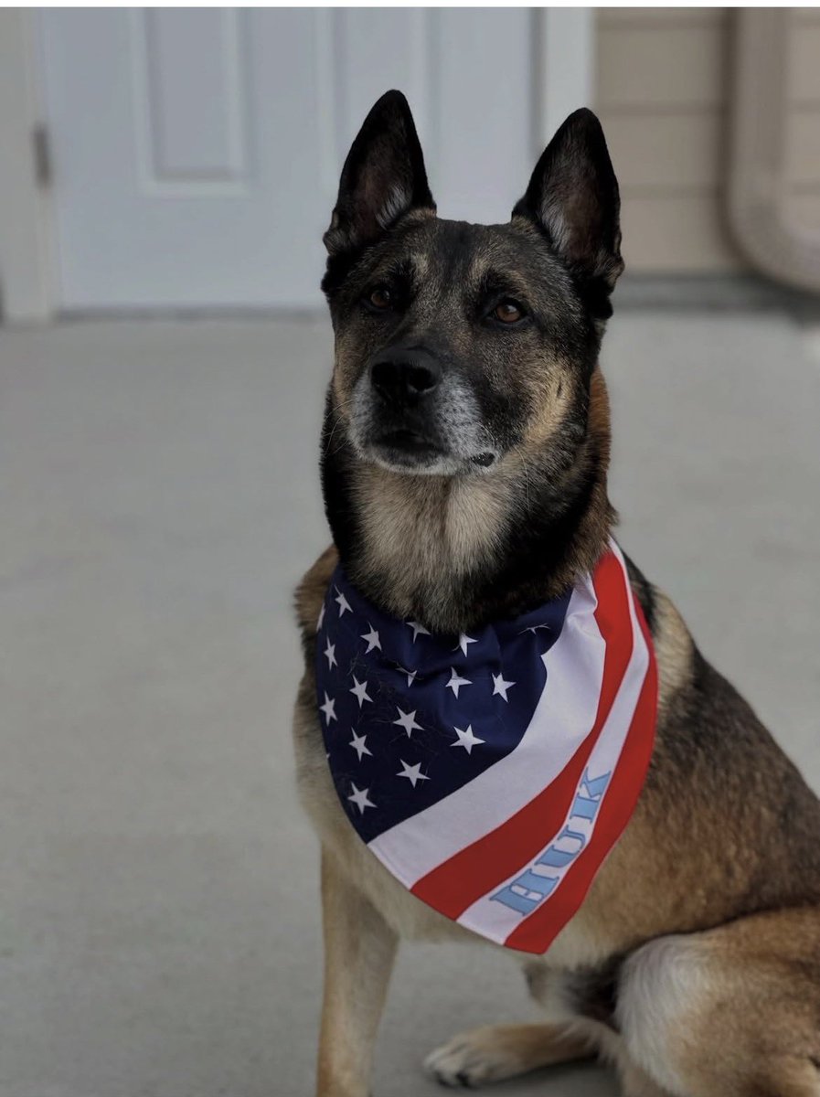 Retired Police Canine Foundation tweet media