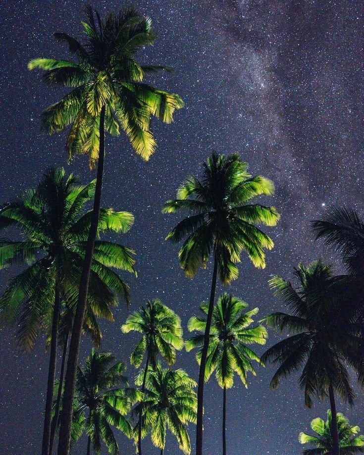 NatureBeautyVb's tweet photo. Look at the sky https://t.co/TBDg27wmJr