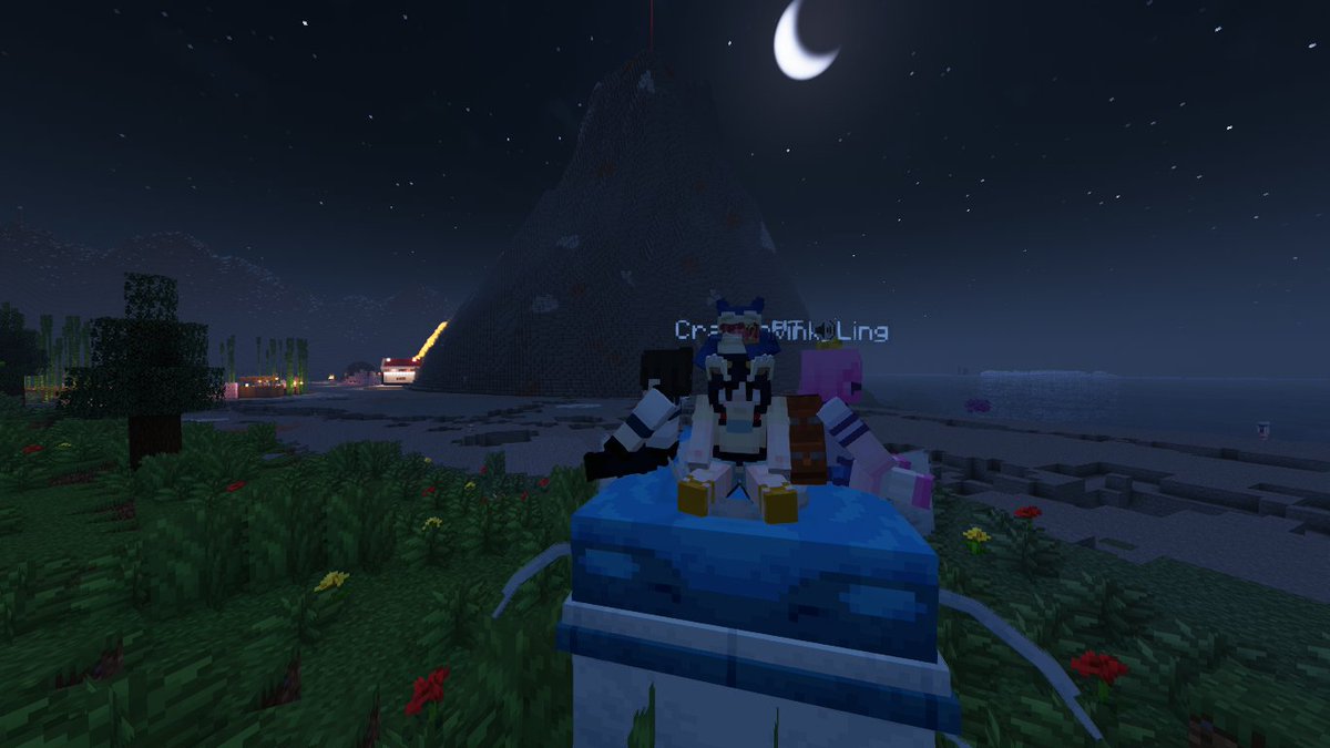 Chrono VTuber 🦈 tweet media