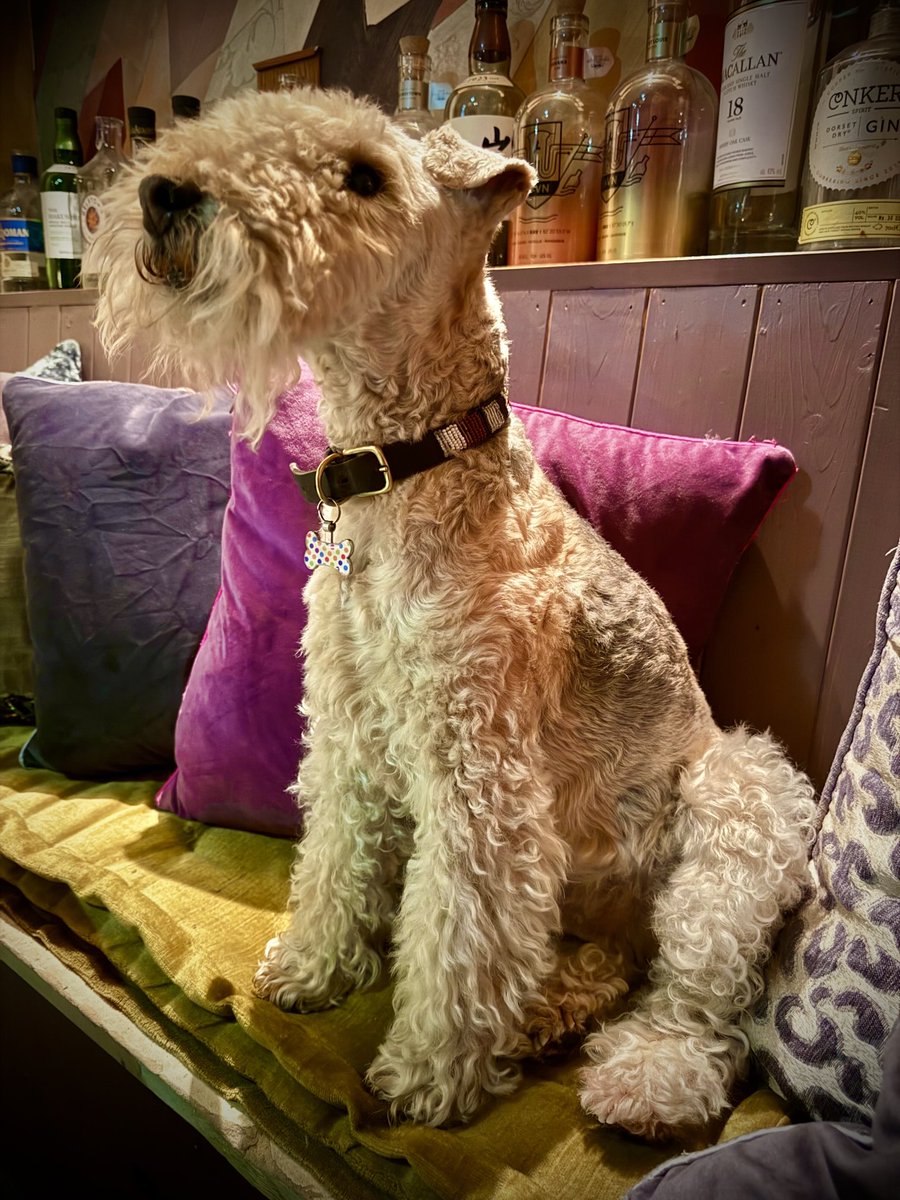 Bertie Lakeland tweet media