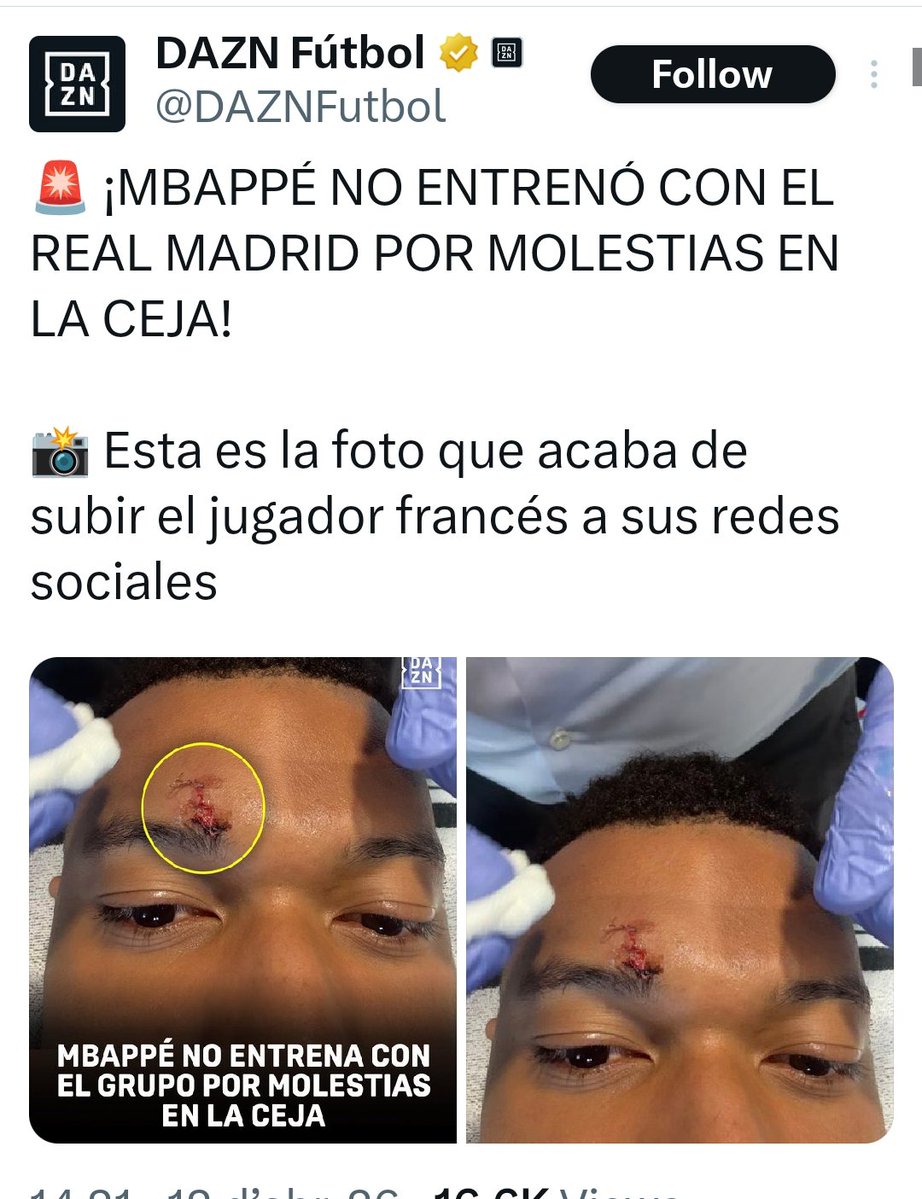 Bernat Castro 🦊 tweet media