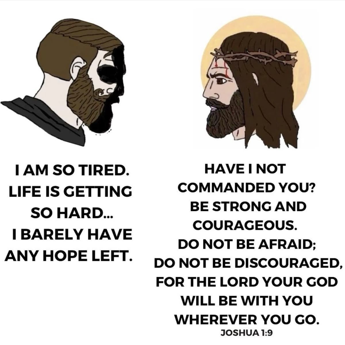 That Catholic Guy 🇻🇦 tweet media