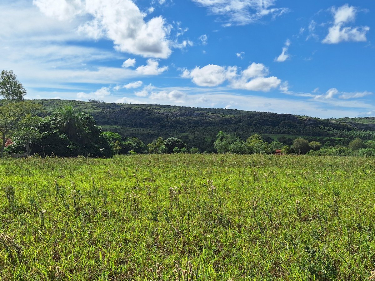 Come to Paraguay 🇵🇾

You could stay in Asuncion

Or

Head out into the countryside

There's something for everyone

#Paraguay