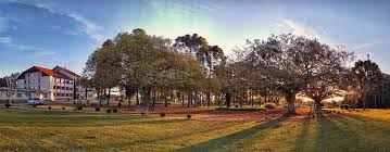 DjowDjow tweet media