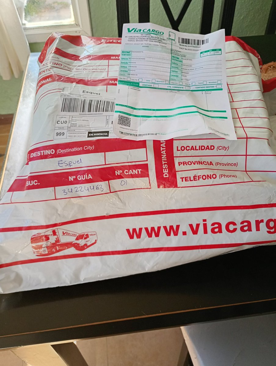 Gato 🐱 tweet media