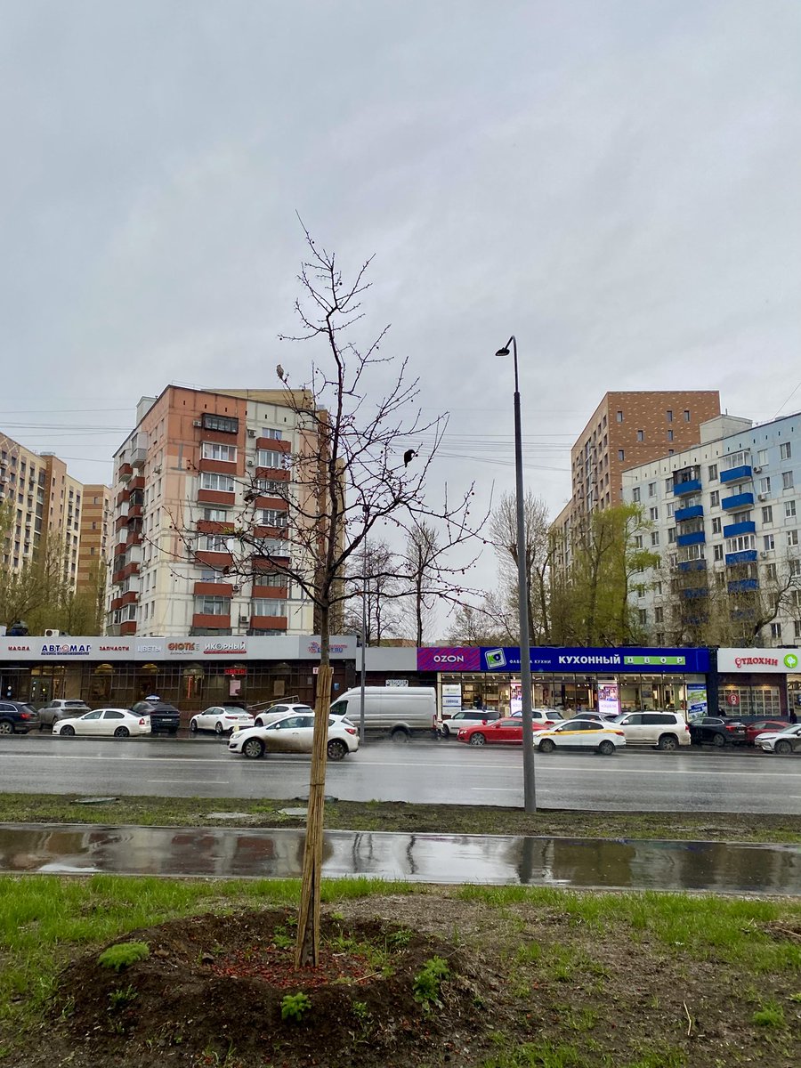 𝕊𝕡𝕒𝕔𝕖 𝕛𝕦𝕞𝕡𝕖𝕣 tweet media