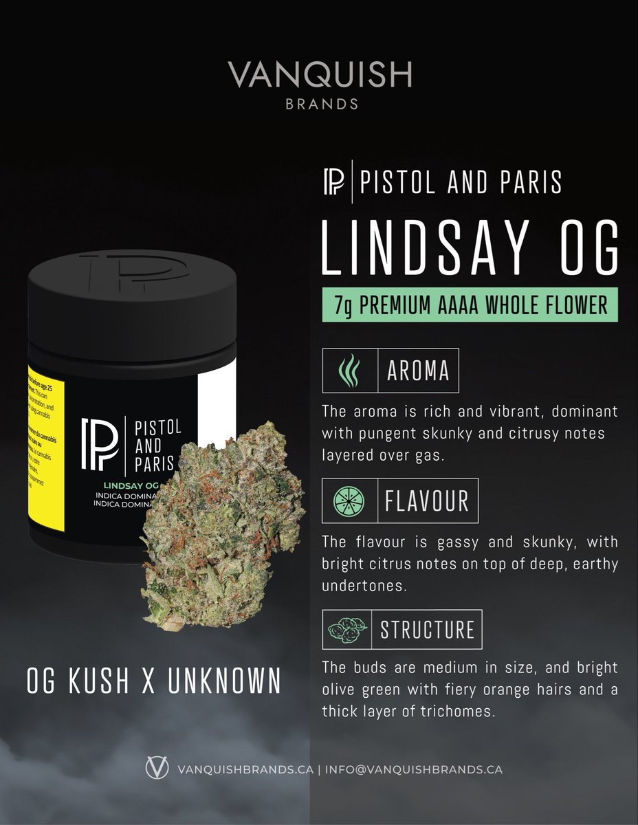 Pistol and Paris ™ (@BrandPistol) / Posts / X