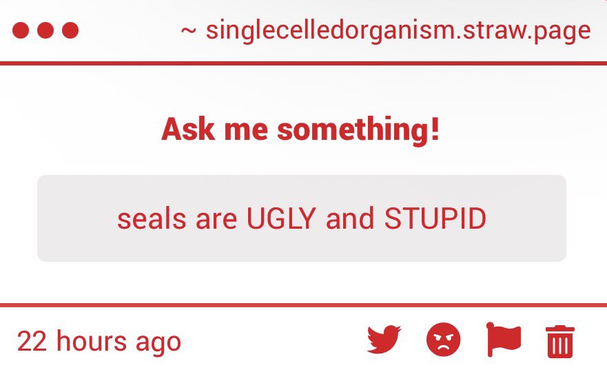 amoeba 🦠 of #indextwt, the dixiong star tweet media