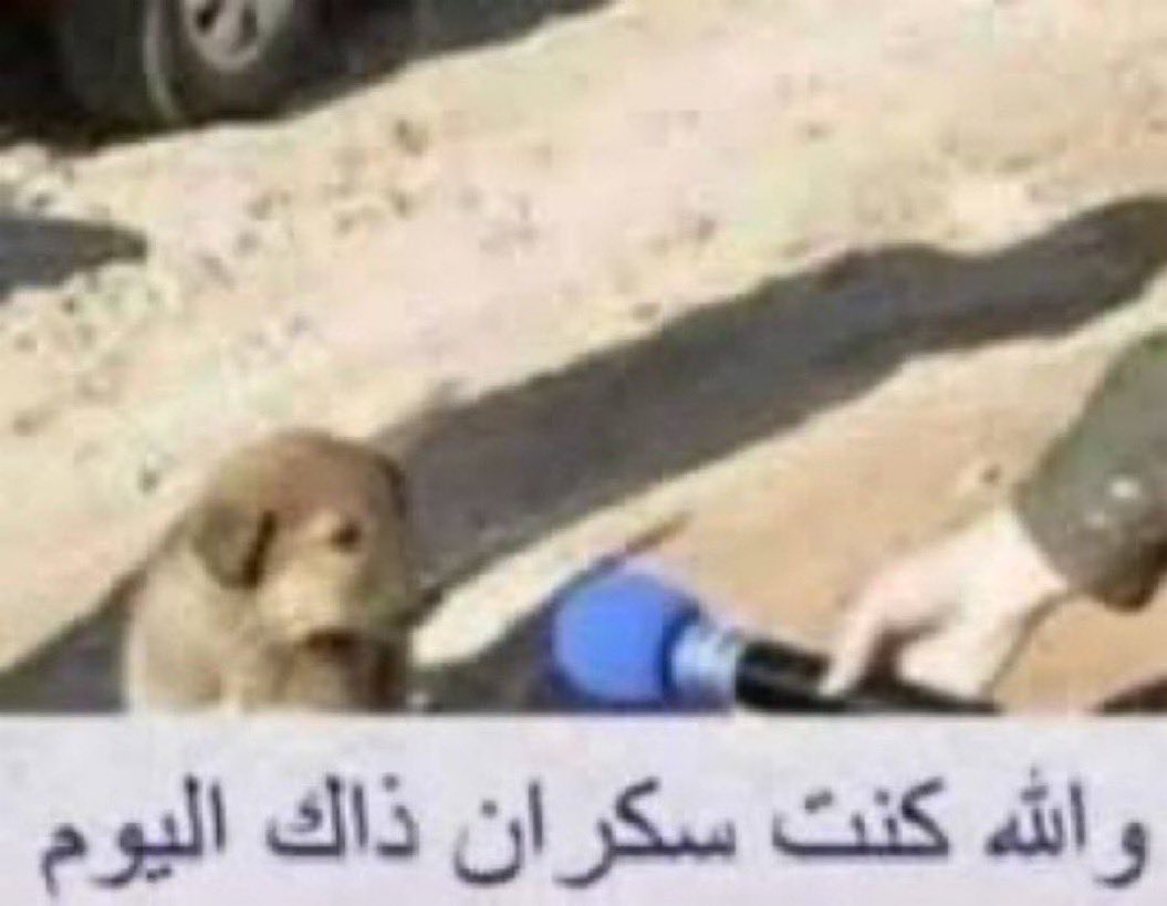 ميثم السيف tweet media