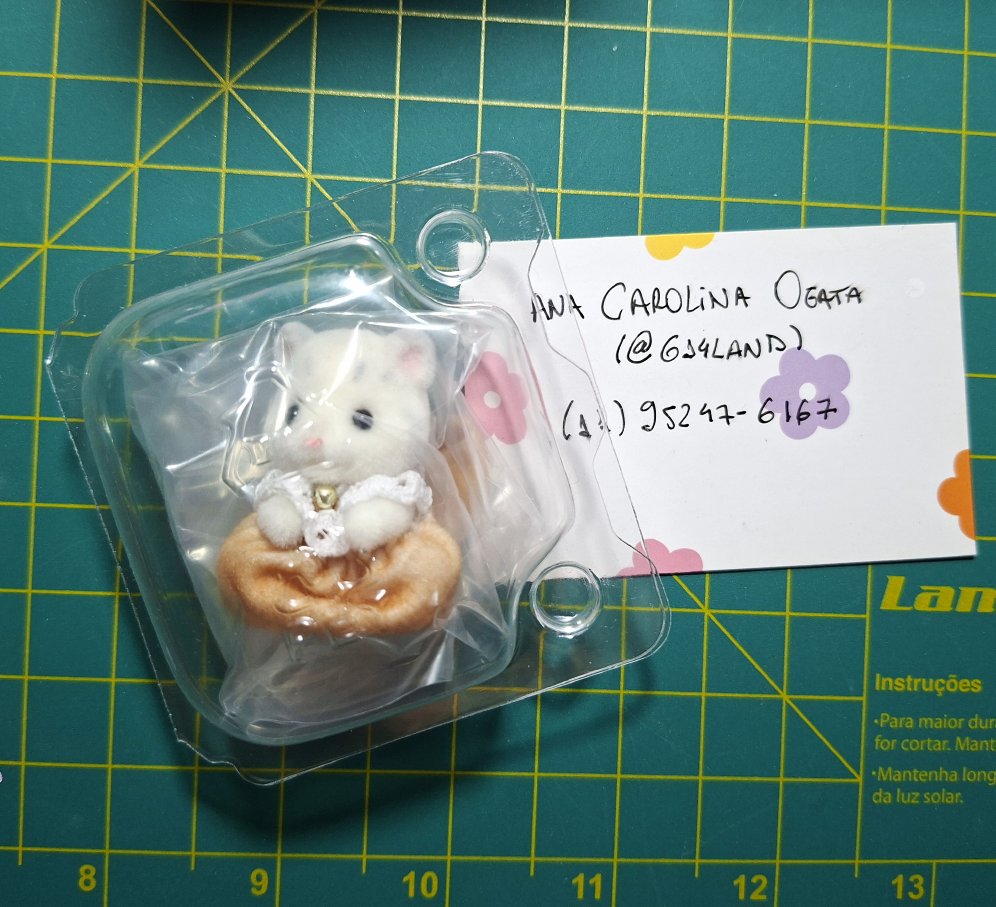 ana 🍮 tweet media